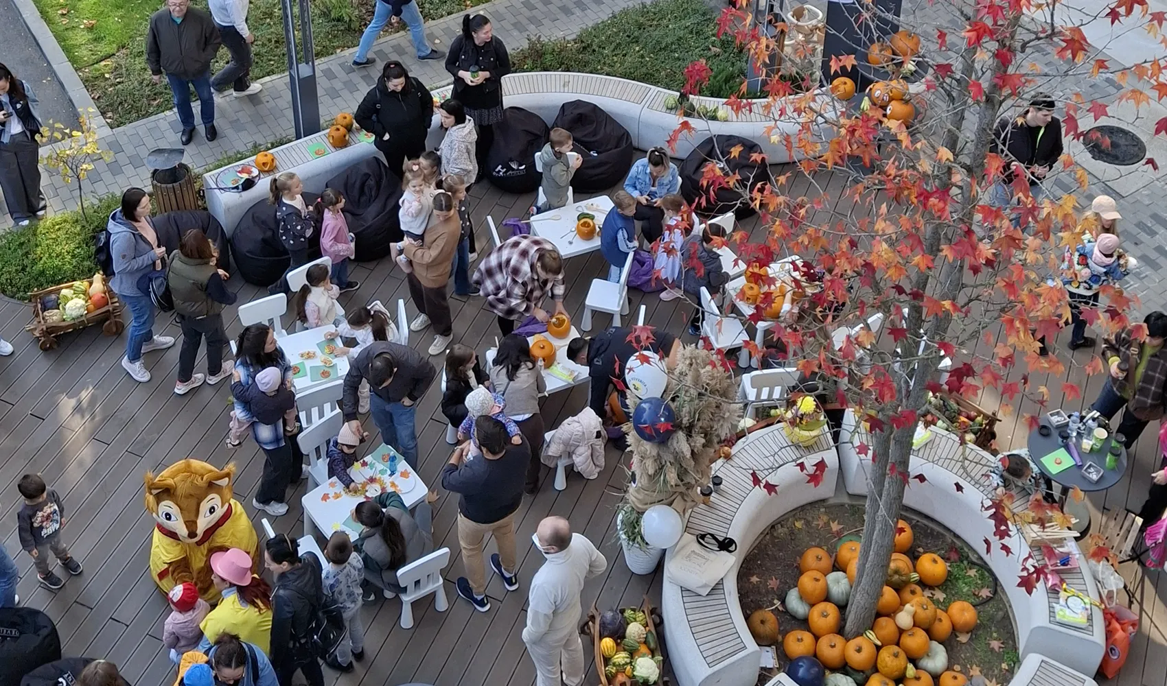 eveniment-toamna-HILS-Pallady