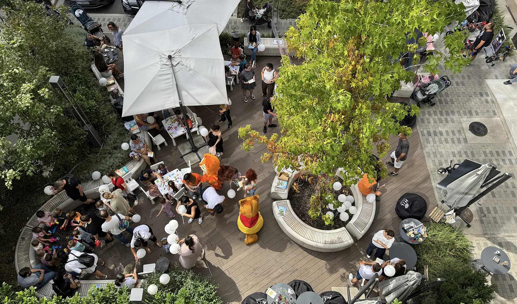 hils-pallady-eveniment-comunitatea